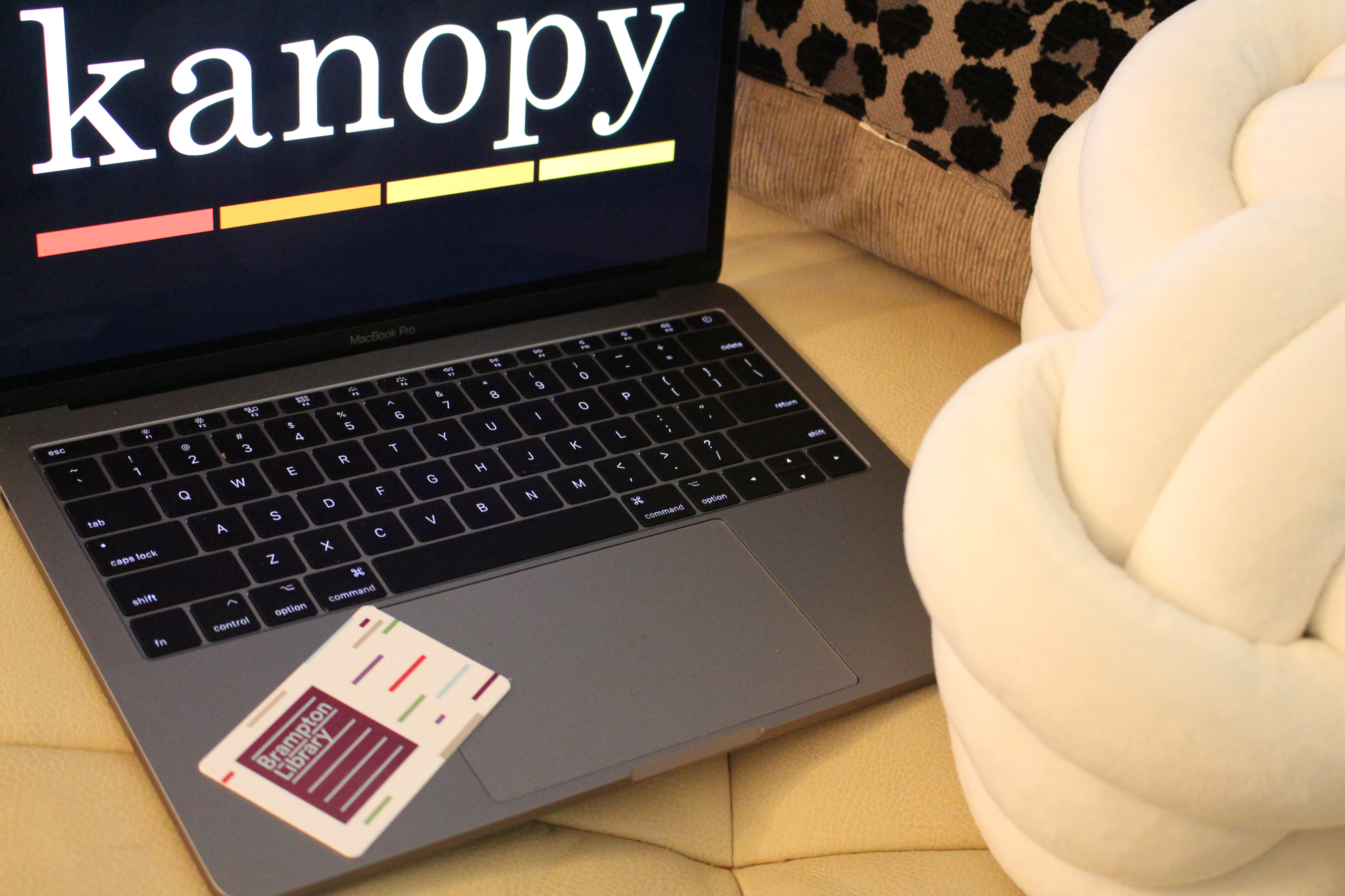 Kanopy app on the computer